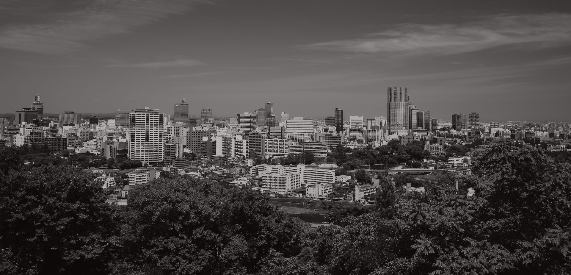 企業情報　高山商事株式会社